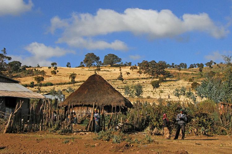 Ethiopie Parc de Balé