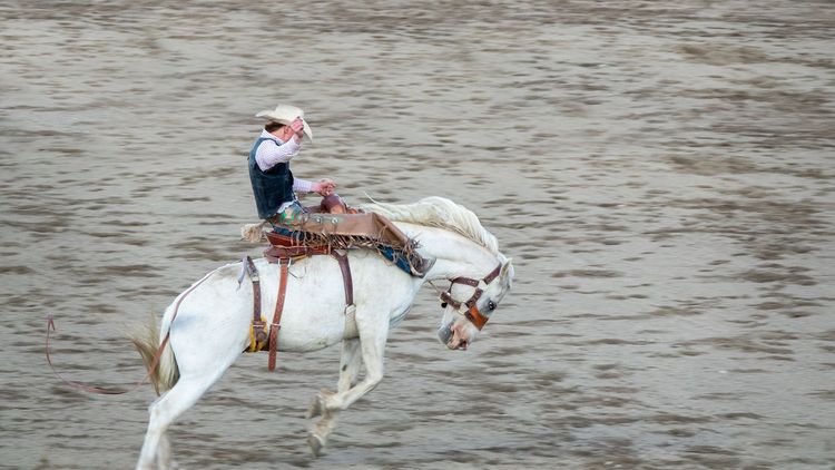Cheyenne Frontier Days : rodéo dans le Wyoming