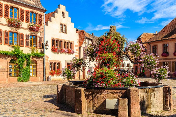 Alsace Bergheim