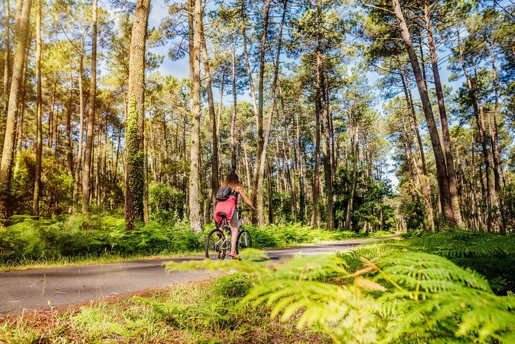 Les Landes à vélo