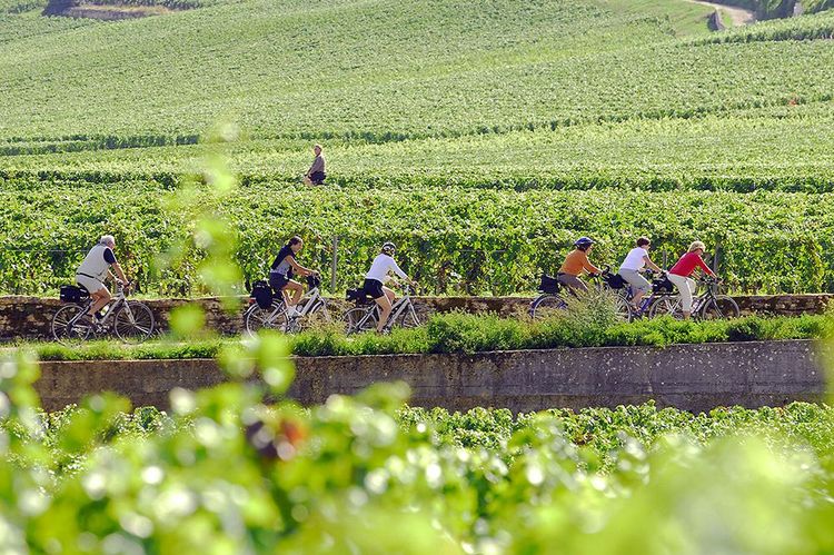 La Bourgogne à vélo