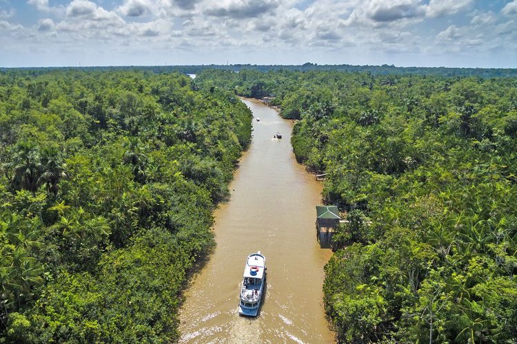 Brésil : voyage au fil de l’Amazone