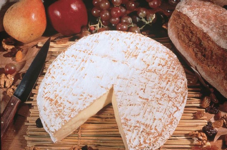 Brie Fromages France