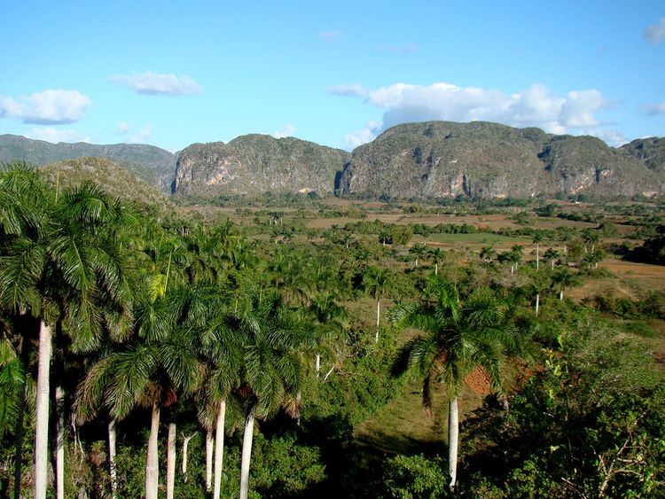 Cuba : Go West !