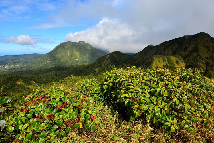 La Dominique : les Caraïbes au naturel