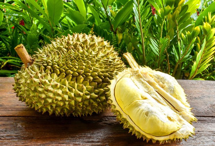 Durian