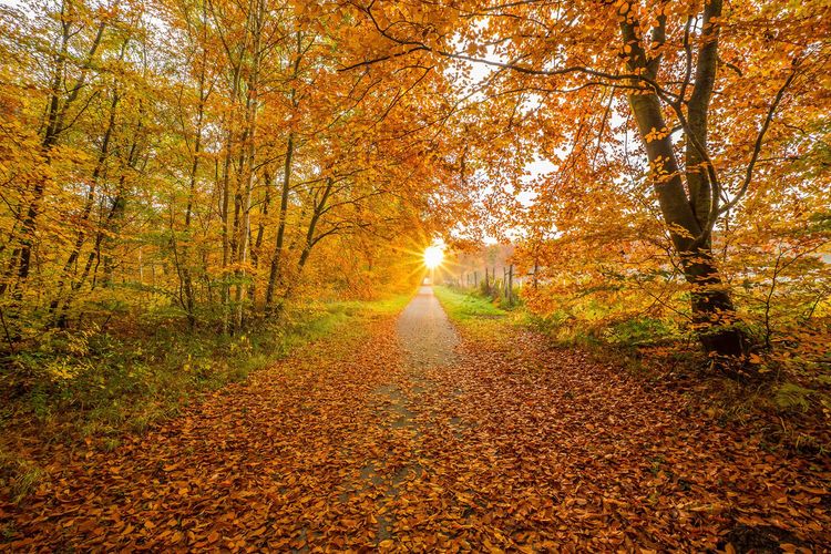 La Picardie par Thomas Rivallain