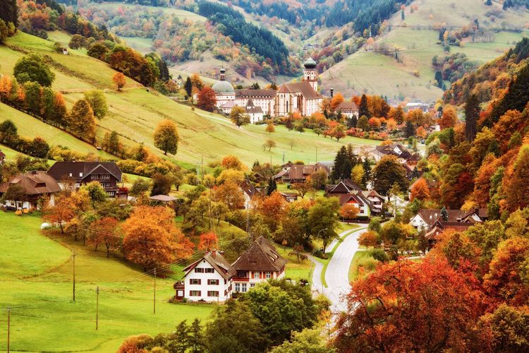 Allemagne : voyage en Haute Forêt-Noire
