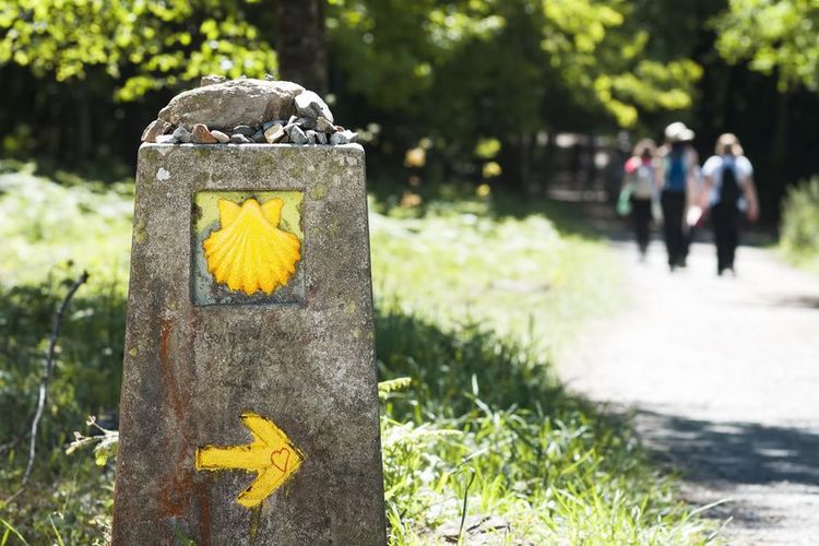 Chemin de Compostelle