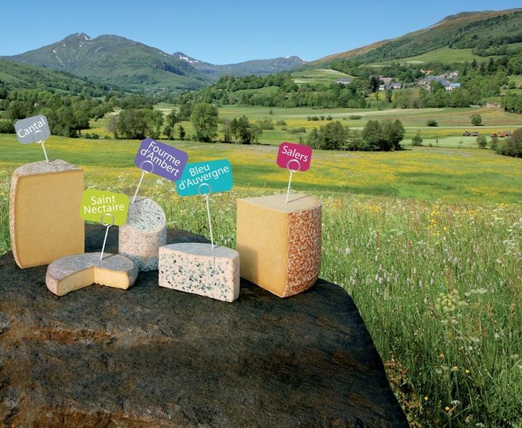 Fromages Auvergne France