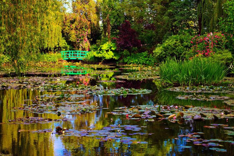 Giverny et Rouen, sur les traces de Monet