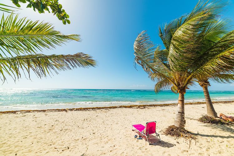 Guadeloupe Plage des Raisins-Clairs