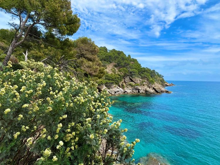 Le Jardin des Méditerranées  au Domaine du Rayol : l'invitation au voyage