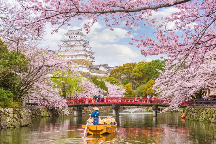 Japon Himeji Castle