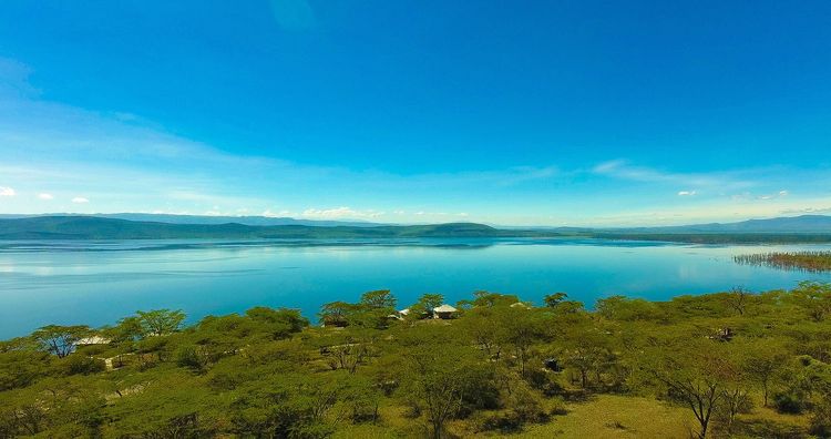 5 parcs et réserves incontournables : les Big Five du Kenya