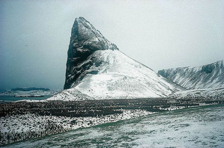 Kerguelen Houdaille