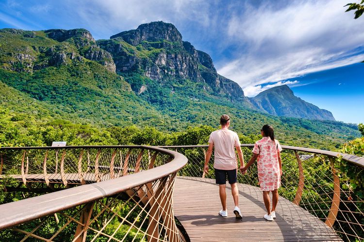 Voyage au cœur de trois jardins extraordinaires parmi les plus beaux du monde Passerelle Boomslang dans le jardin botanique de Kirstenbosch au Cap - Afrique du Sud