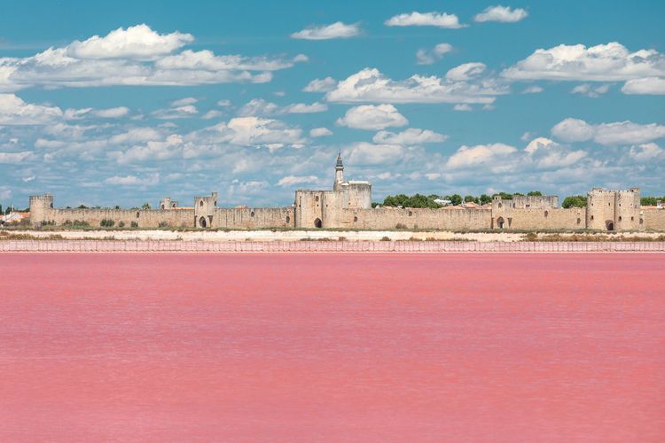 A moins d'1h de Nîmes, cette ville médiévale est un joyau de la "Petite Camargue" Languedoc Aigues-Mortes