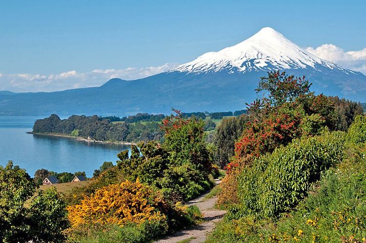 Chili : Région des Lacs, voyage en pays mapuche