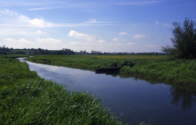 Marais Cotentin Normandie
