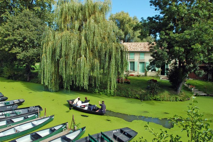 Le Marais poitevin, au fil de l’eau