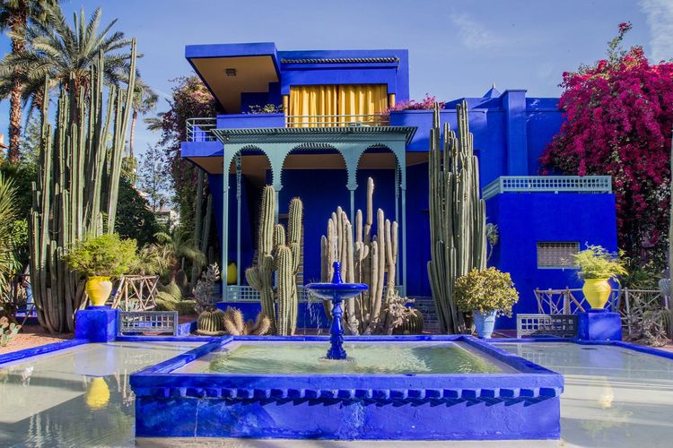 Maroc Marrakech Jardin Majorelle