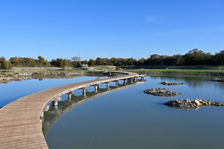 Le marais de Tasdon, poumon vert de La Rochelle