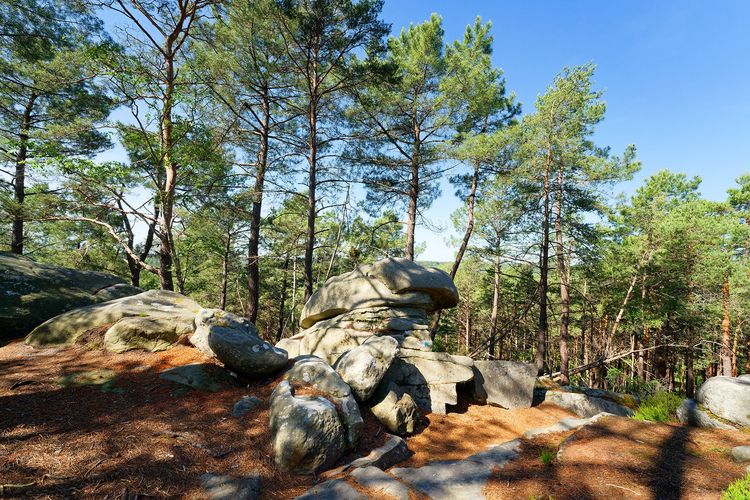 Ce poumon vert aux portes de Paris est une escapade idéale pour se rafraîchir cet été Mont Aigu - Fontainebleau