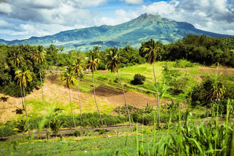 Montagne Pelée Volcan Martinique