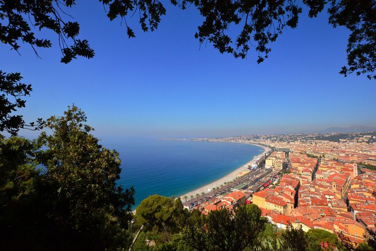 Nice verte