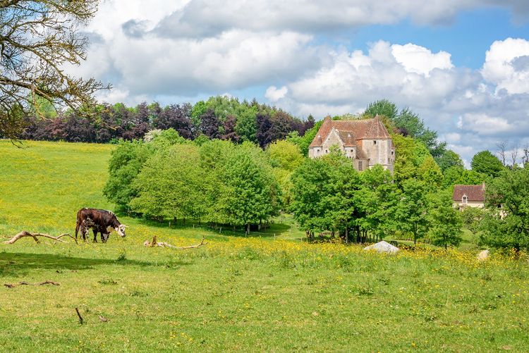 L’Orne, sur les routes tranquilles du Perche