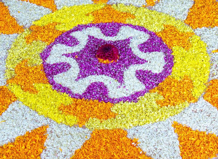 Onam, festival de la moisson dans le Kerala