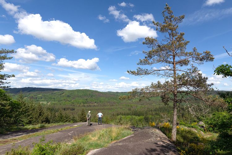 Plateau de Millevaches en Limousin : 10 expériences à vivre