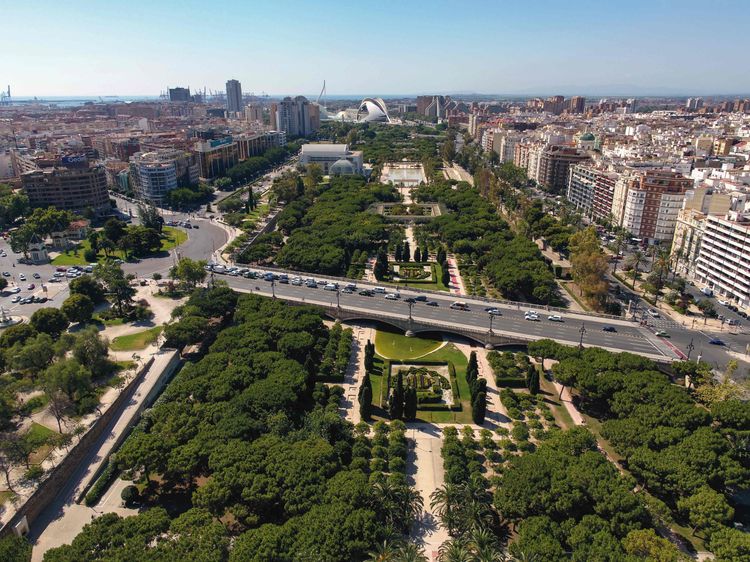 Valence, capitale mondiale des arbres Valence, capitale mondiale des arbres
