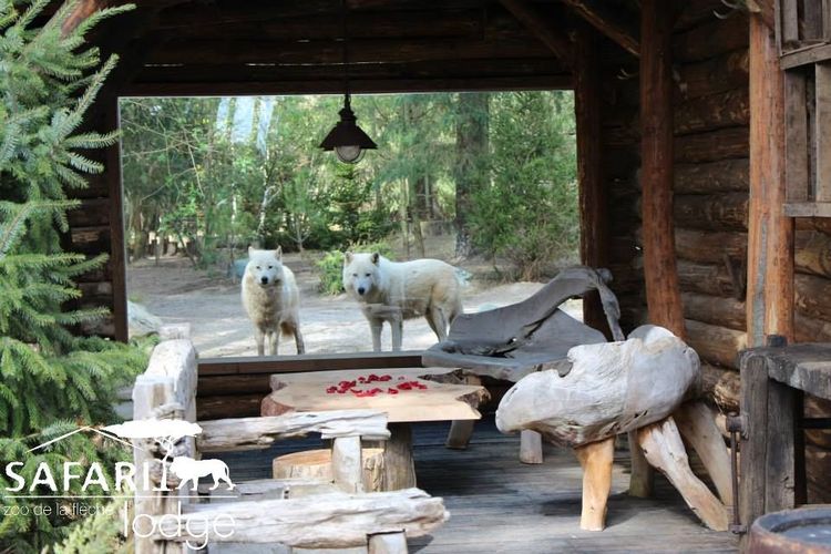 Zoo à La Flèche Safari-Lodge