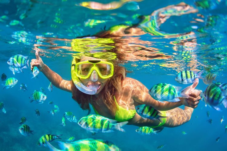 Plongee Poissons Snorkelling