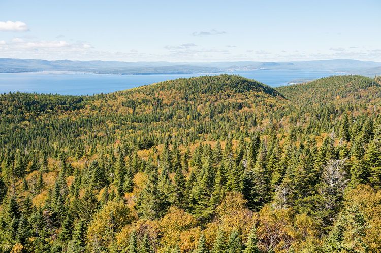 La Gaspésie (Québec) : les coups de coeur d'Eléonore Friess