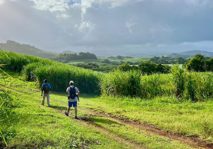 Randonnées en Martinique : 3 itinéraires coups de cœur dans le nord de l’île