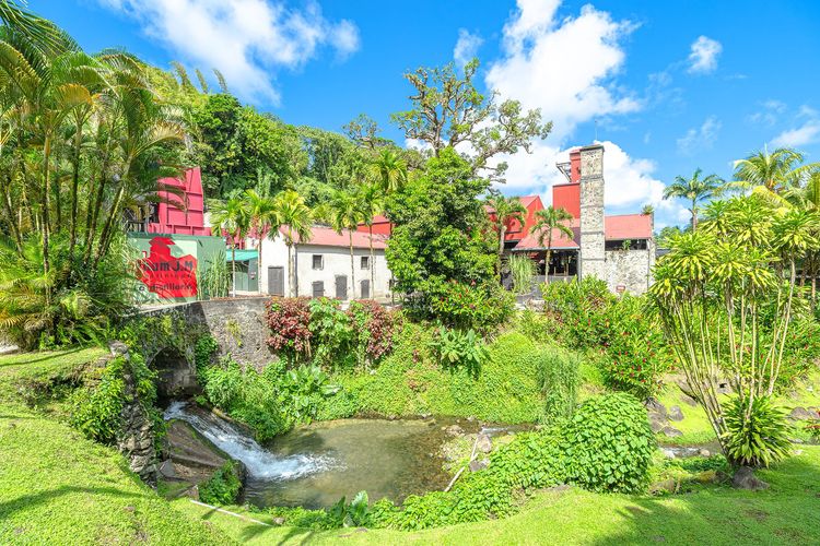 Martinique : sur la route des rhums 