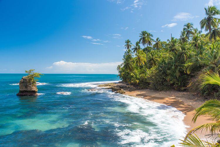 Costa Rica, les parcs de la côte des Caraïbes