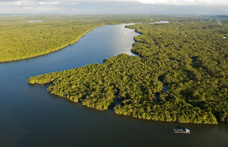 Le Sarawak, l'aventure à Bornéo