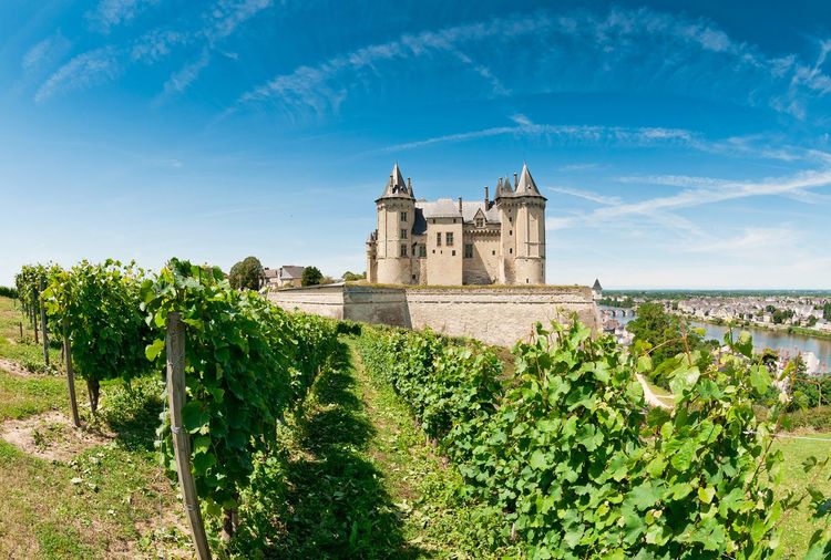 Saumur Château