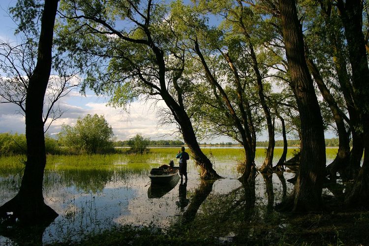 La Slavonie, l'autre Croatie