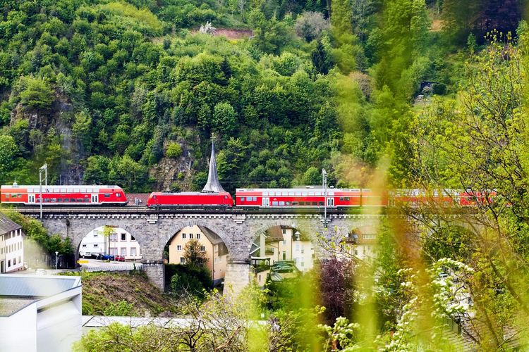 Un pass ferroviaire illimité à 29€ pour les jeunes franco-allemands Train Forêt Noire Allemagne