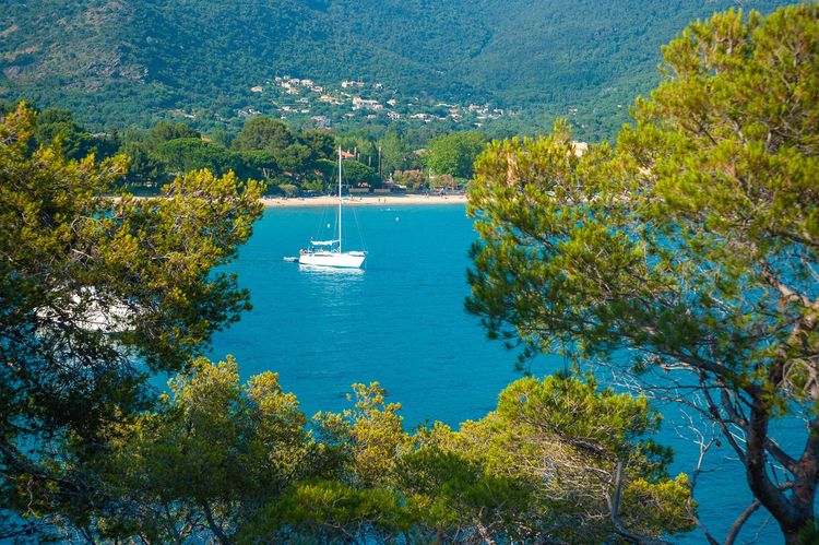 Le Var, entre Méditerranée et mimosa