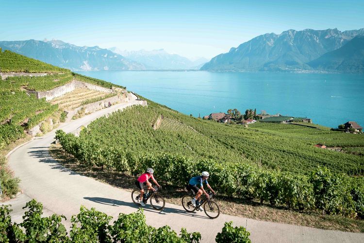 La Route des Vignobles, à vélo entre lac, alpages et villages vaudois