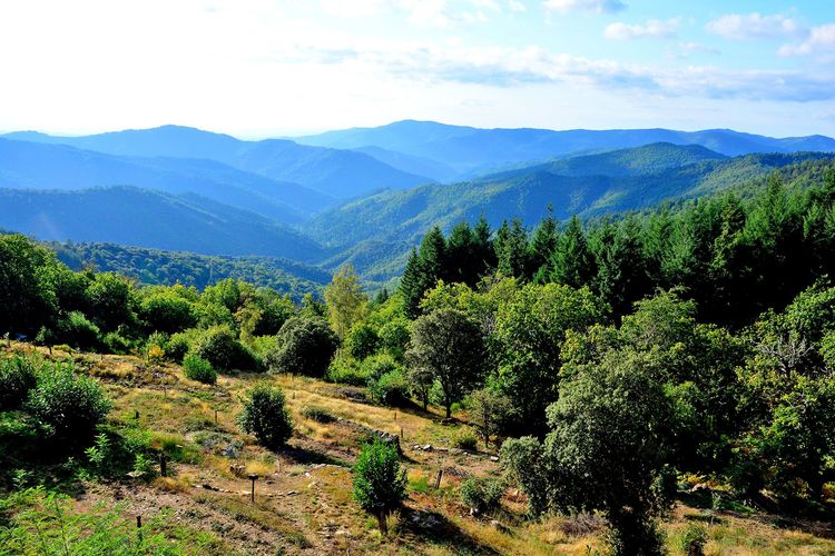 Les Cévennes, grandeur nature