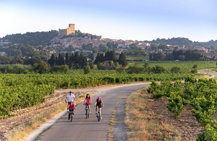 Le Vaucluse à vélo