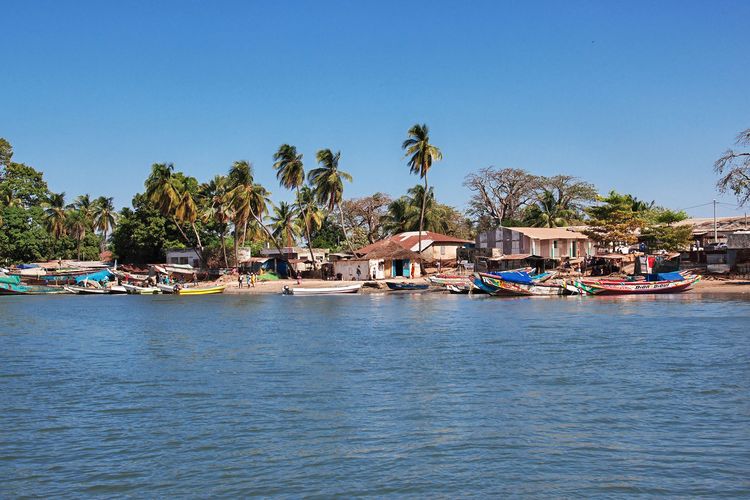 Sénégal : la Casamance, en pays diola