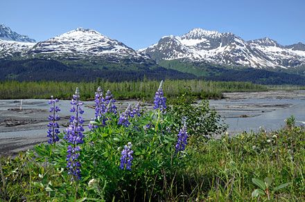 Alaska, la dernière frontière